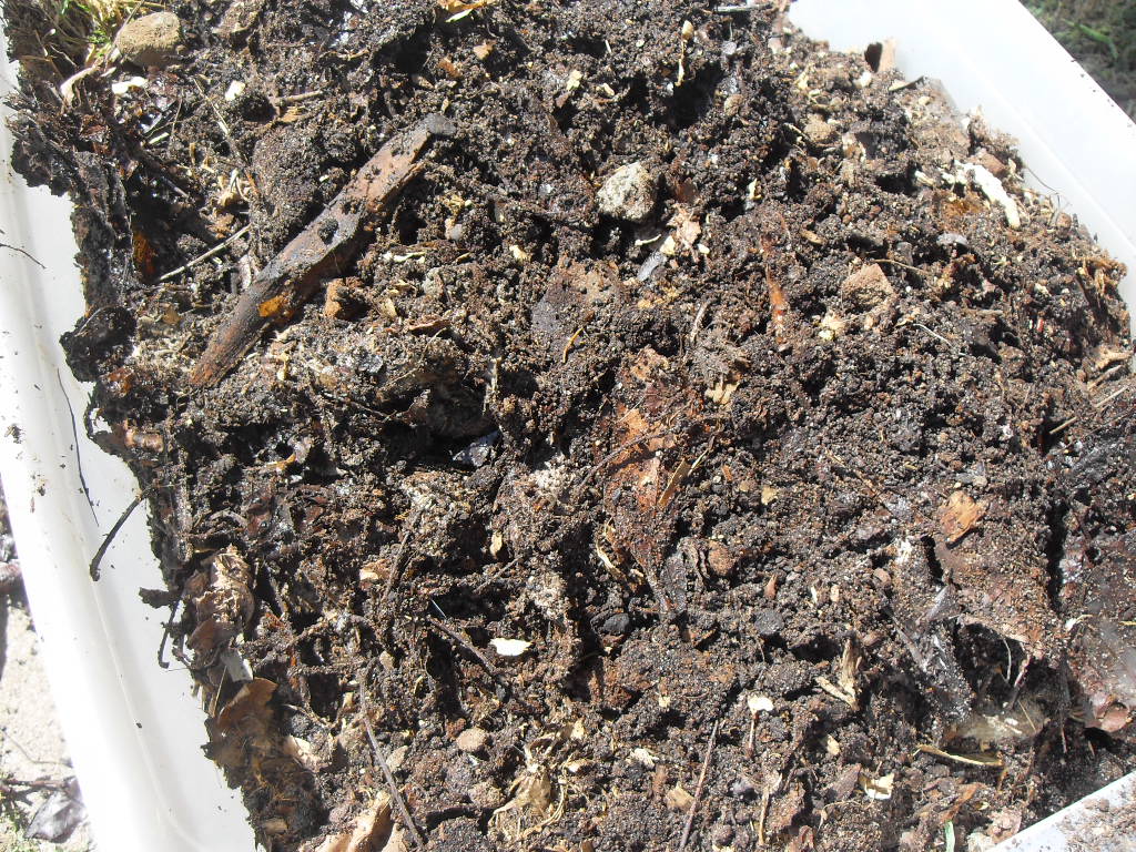 Compost With Worms And Coffee Grounds Ground To Ground