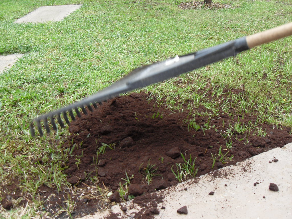 From Coffee Grounds To Lawn Fertilizer Ground To Ground
