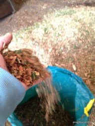 mulch into a bag