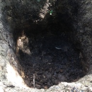 Pelusa Pit Compost