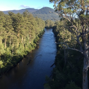 Ramblings from a Victorian smuggled into Tasmania on a Holiday